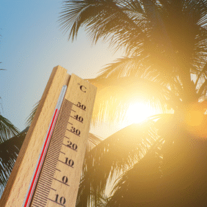 Mosam Ki Taaza Soorat E Haal 29 July, 1:50 PM