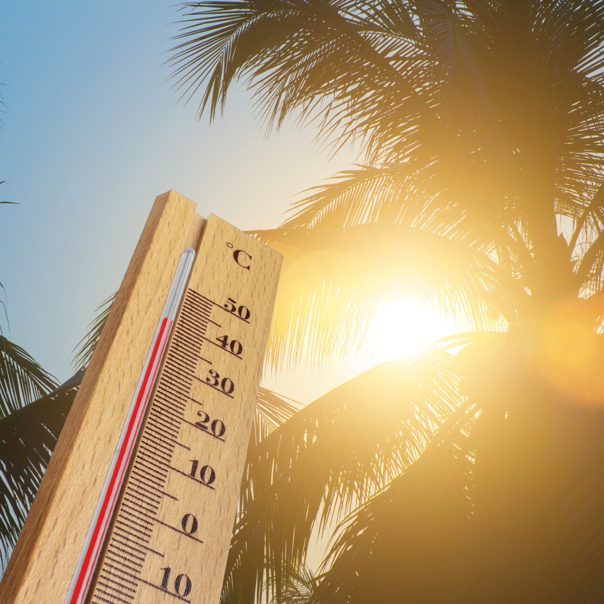 Mosam Ki Taaza Soorat E Haal 3 Aug, 2:53 PM