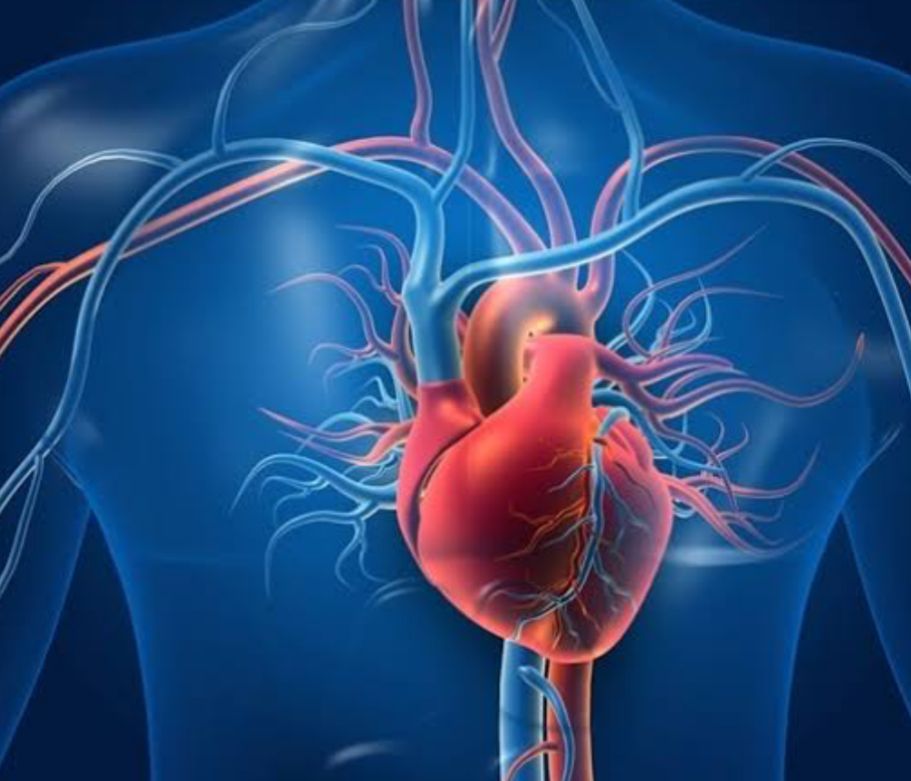 Punjab Ke 16 Shahron Mein Heart Labs Banne Lagi Hai