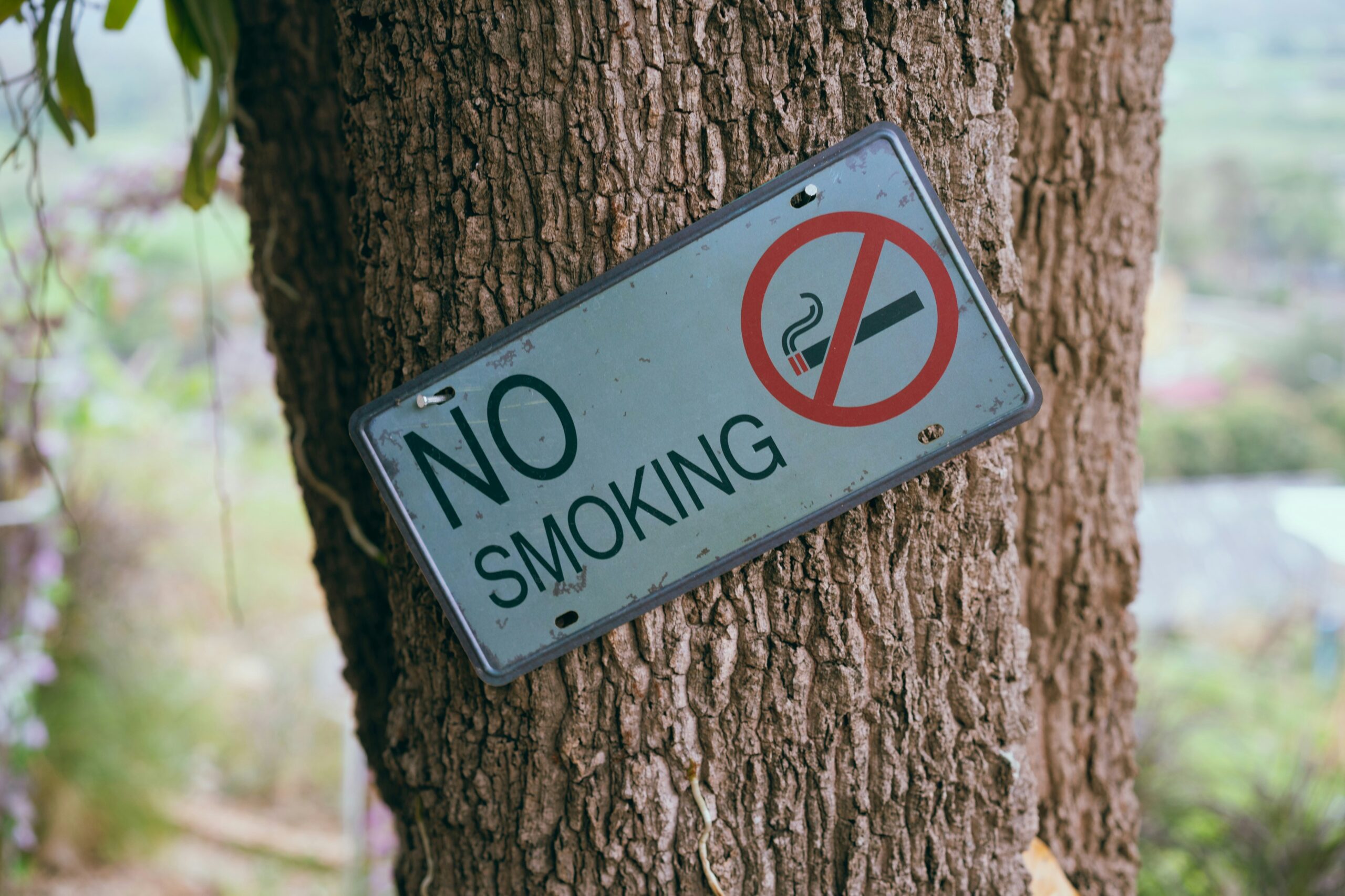 Punjab Ke Tamam Parks Aur Gardens Mein Smoking Banned