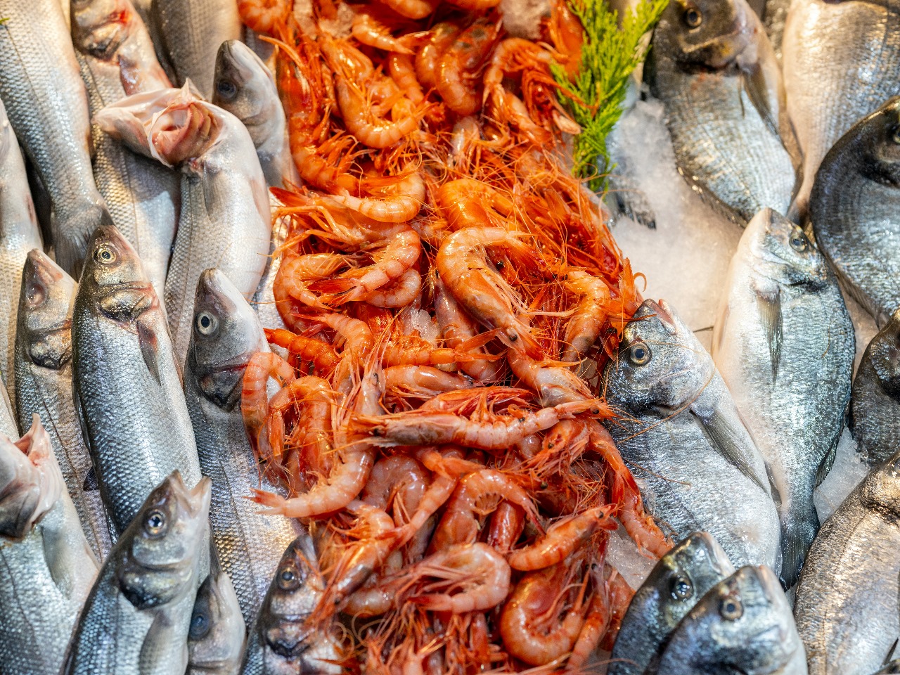 Urumqi Airport Ne Pakistan Se Seafood Shipment Shuru Krdi