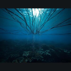 PTCL Ka Elaan: Submarine Cable Cut, Internet Slow Ho Sakta Hai