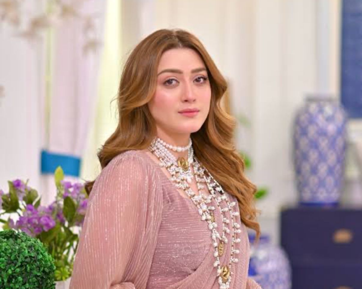 Main Shah Rukh Khan Ke Saath Kaam Karne Ke Liye Bharat Nahi Jaungi, Momina Iqbal