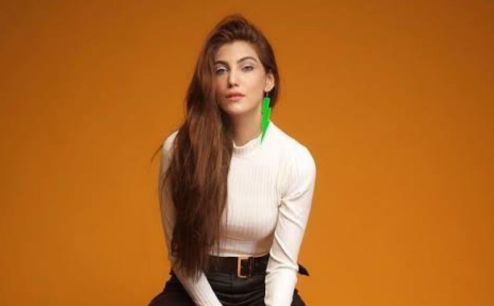 Nazish Jahangir Ke Bold Libaas Par Social Media Par Hungama