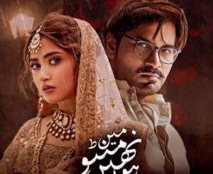 Main Manto Nahi Hoon Ki Wajah Se Lahore Mein Naye Rules Lagu