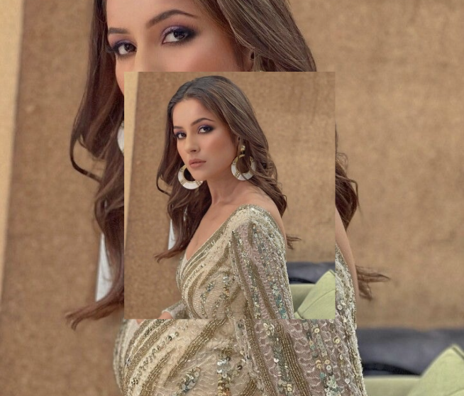 Punjabi Larke Se Shadi Nahi Karungi, Shehnaz Gill Ka Khulasa