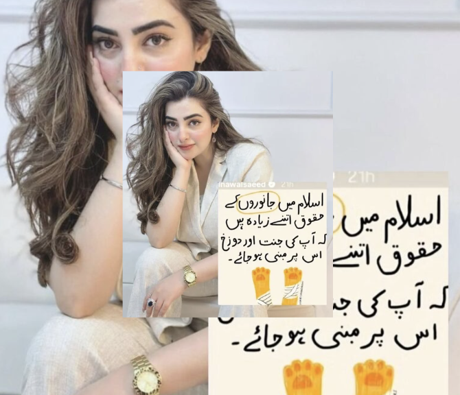 Nawal Saeed Ne Islam Ki Taleemat Mein Janwaron Ke Haqooq Par Apne Thoughts Share Kiye