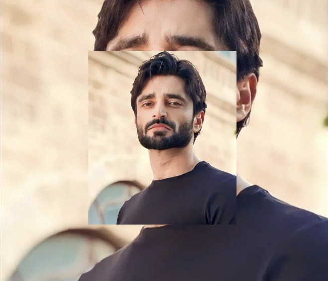 Hamza Ali Abbasi Apne Pakistani Fans Se Kia Request Karte Hain?