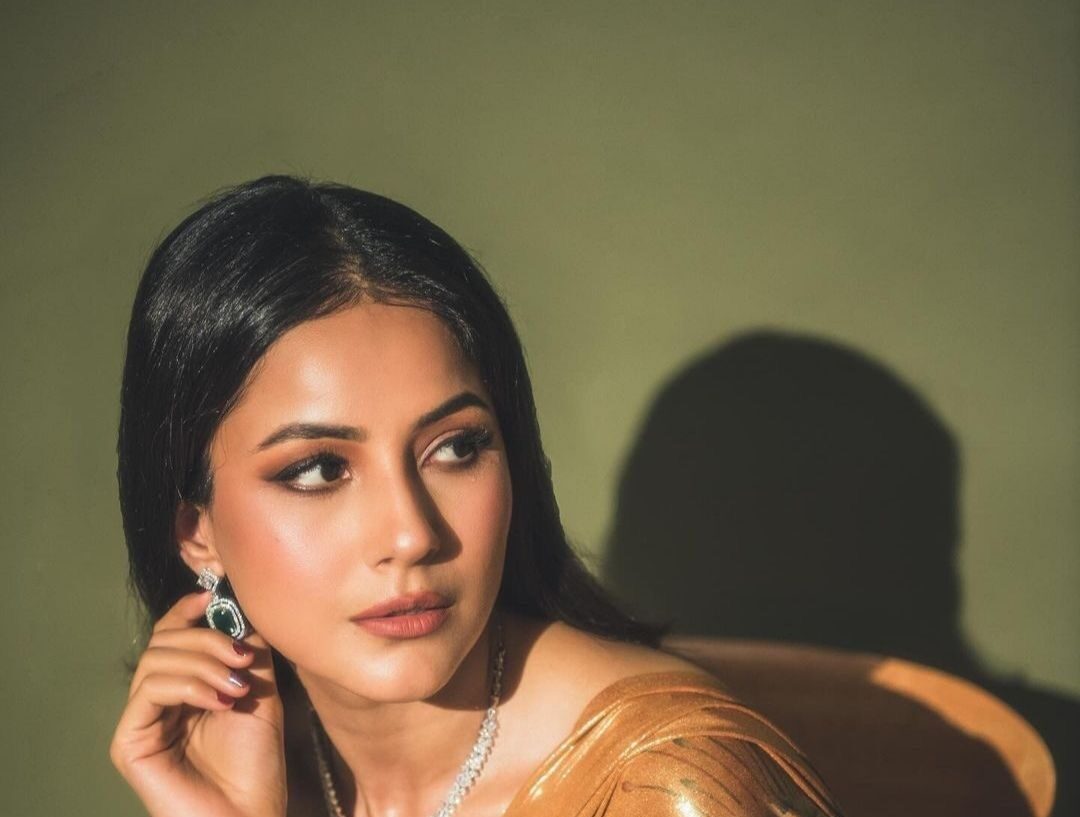 Shehnaaz Gill Ne Ex-Boyfriend Ko Diya Dhoka; ‘Maine Ye Sirf Isliye Kiya’