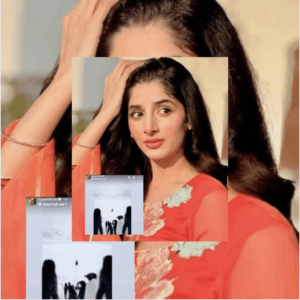 Penguin Ki Viral Video Ne Mawra Hussain Ki Zindagi Kaise Badal Di