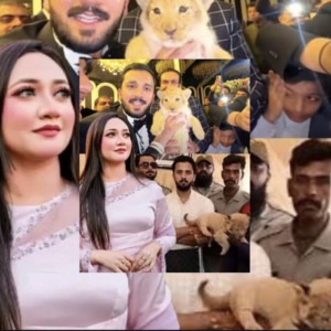 “Rajab Ki Zindagi Mein Jo Maslay Aaye Woh Shadi Mein Milne Wale Gifts Se Aaye The Jo Maine Nahi Diye The”: Emaan Rajab