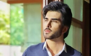 ‘Nikal Aayain Is Shia-Sunni Ki Tafreeq Se’: Imran Abbas