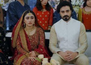 Sachal Afzal Ka Shadi Ke Tahafuzat Par Khula Inkishaf: ‘Social Media Ke Aks Se Log Dhoka Kha Jaate Hain’